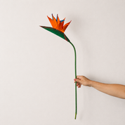 Flores Grandes de Flor de Maiz
