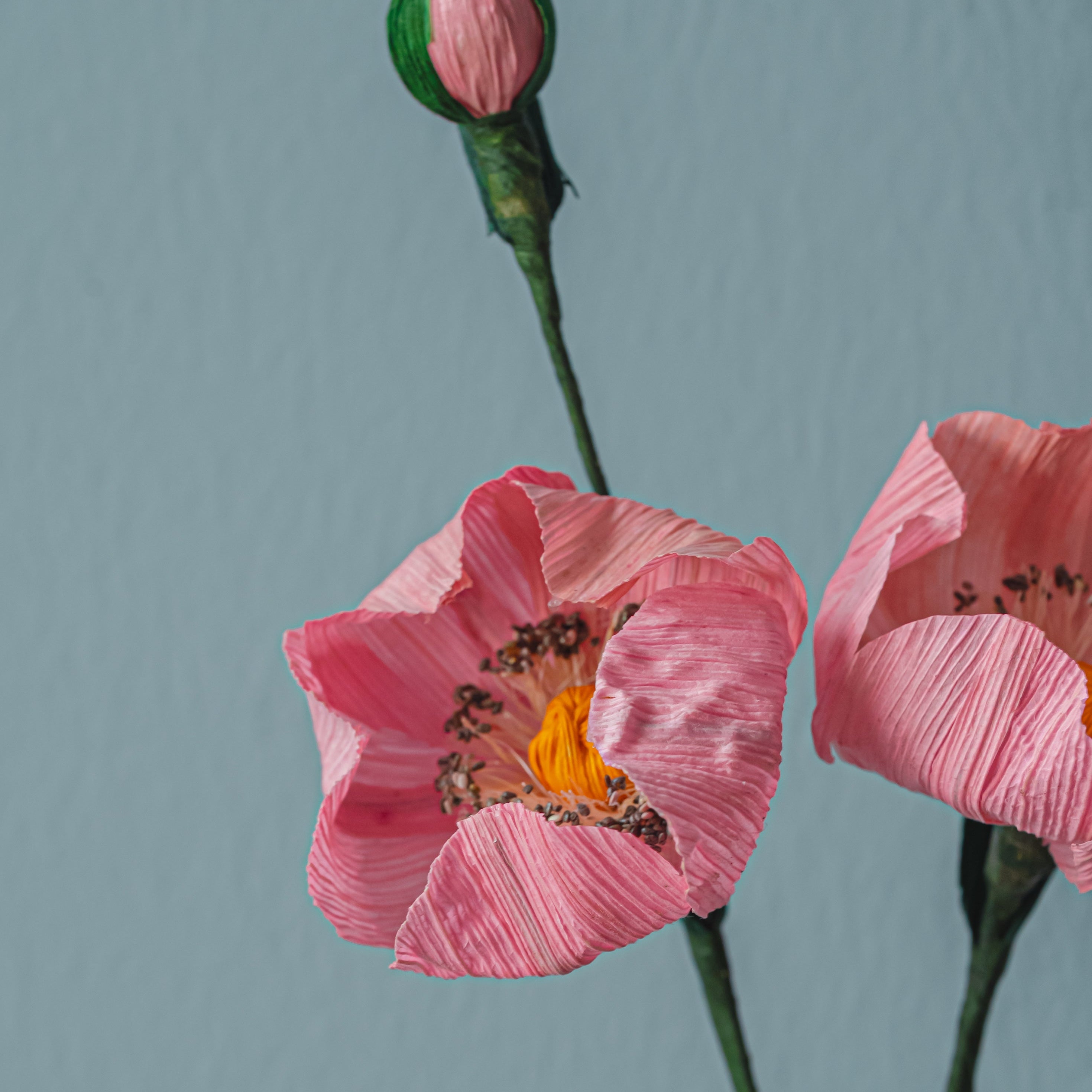 Mini Poppy - Corn Husk Flower