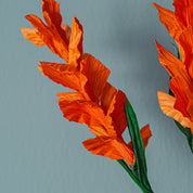 Mini Foxtail - Corn Husk Flower