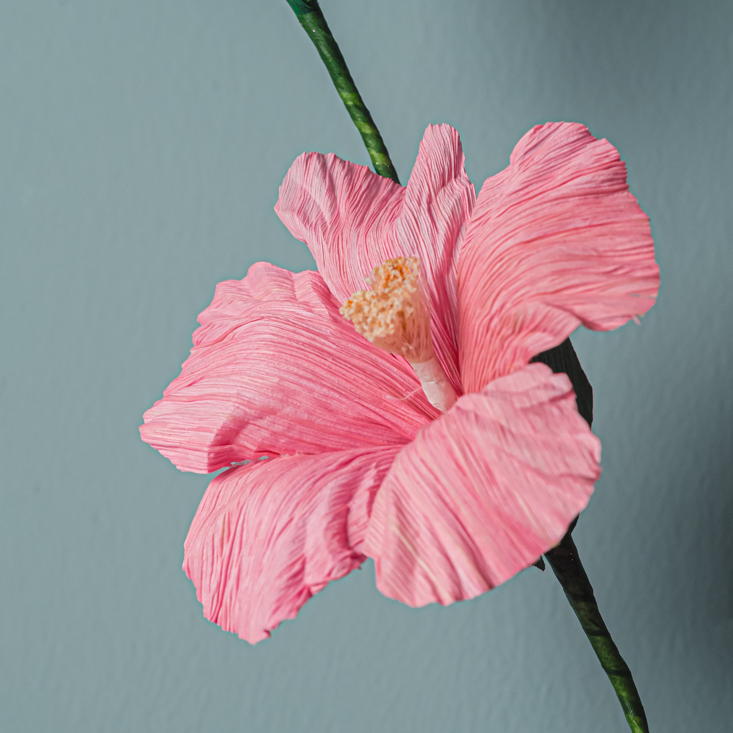 Hibiscus - Corn Husk Flower
