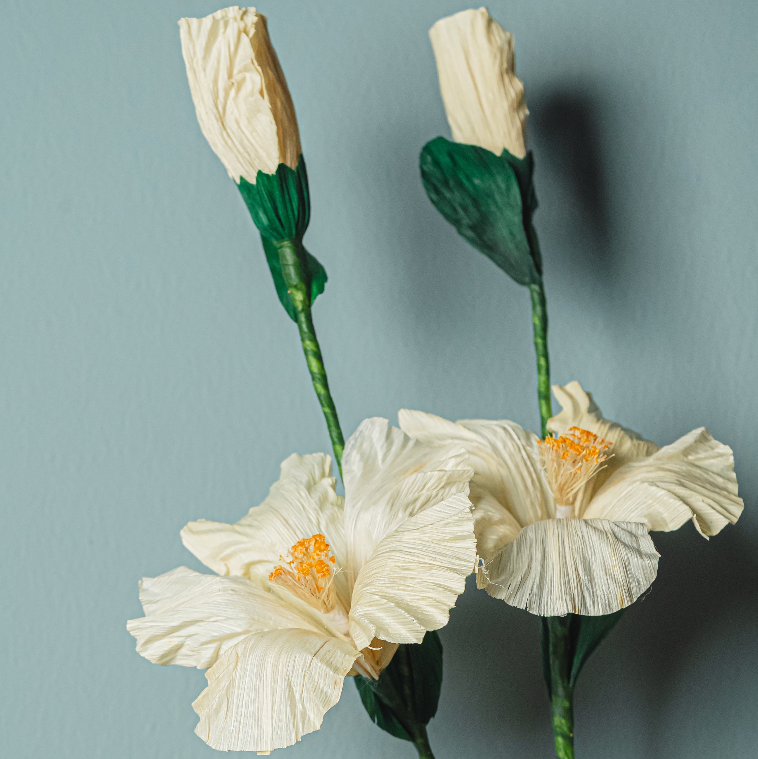 Hibiscus - Corn Husk Flower