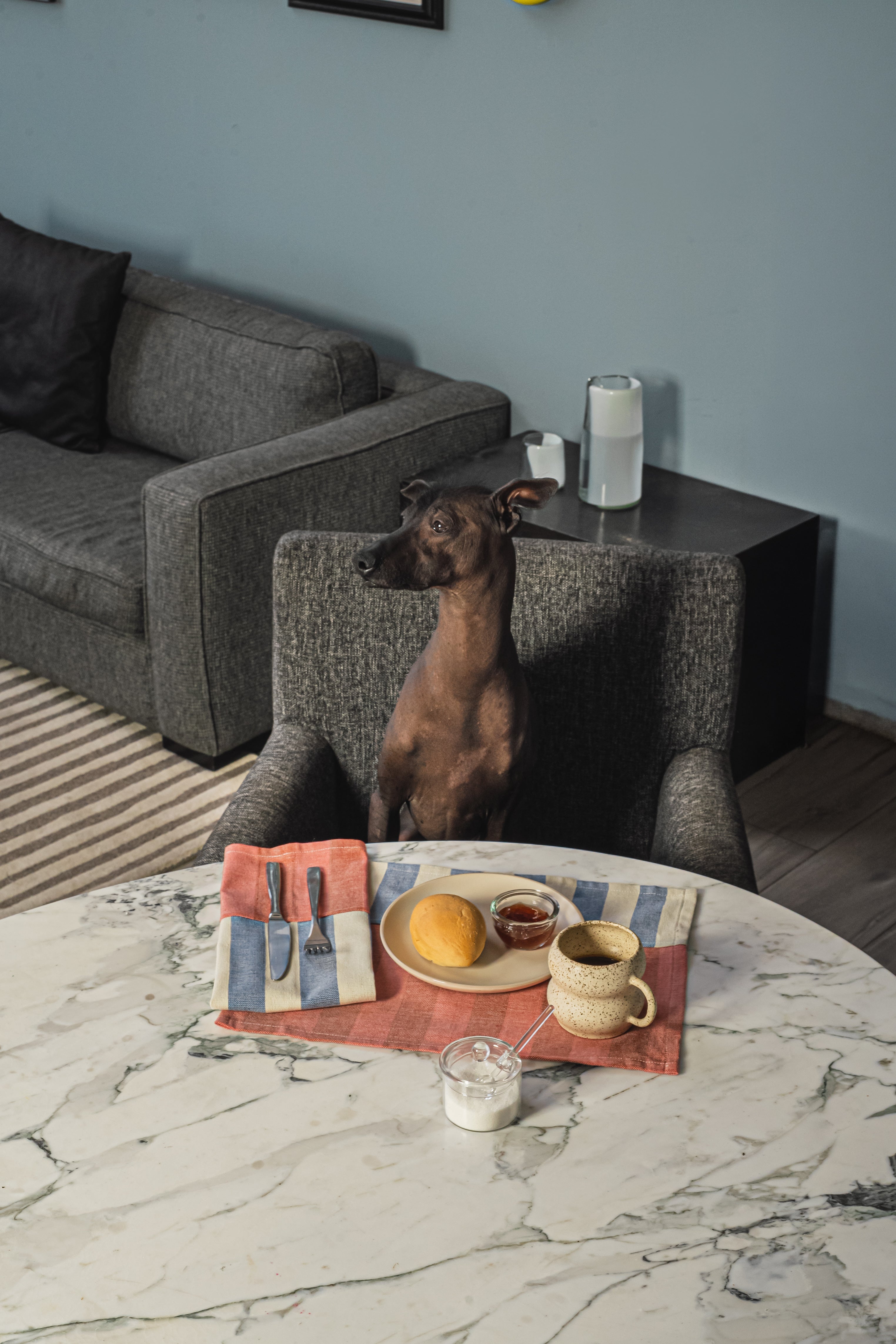 2-PACK MANTEL INDIVIDUAL FAMILIA DANTE