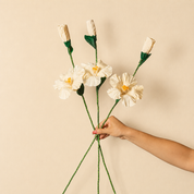 Hibiscus - Corn Husk Flower