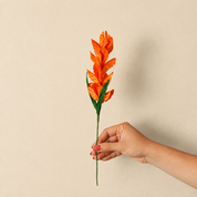 Mini Foxtail - Corn Husk Flower