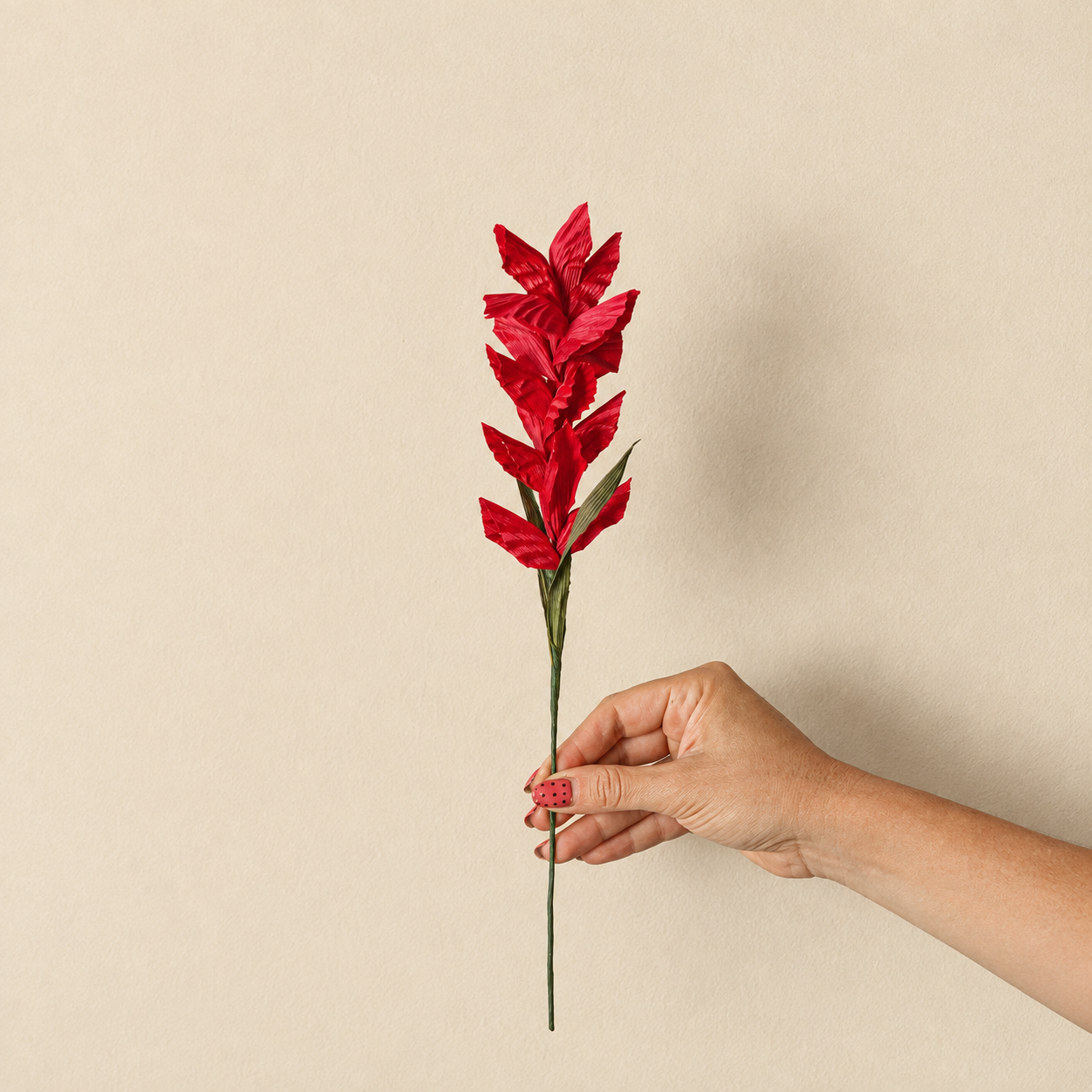 Mini Foxtail - Corn Husk Flower